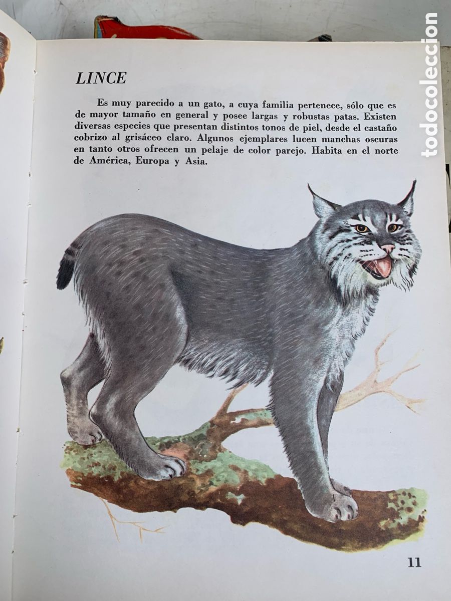 Libros de segunda mano: 01_El mundo de los animales Edit Sigmar - Foto 2