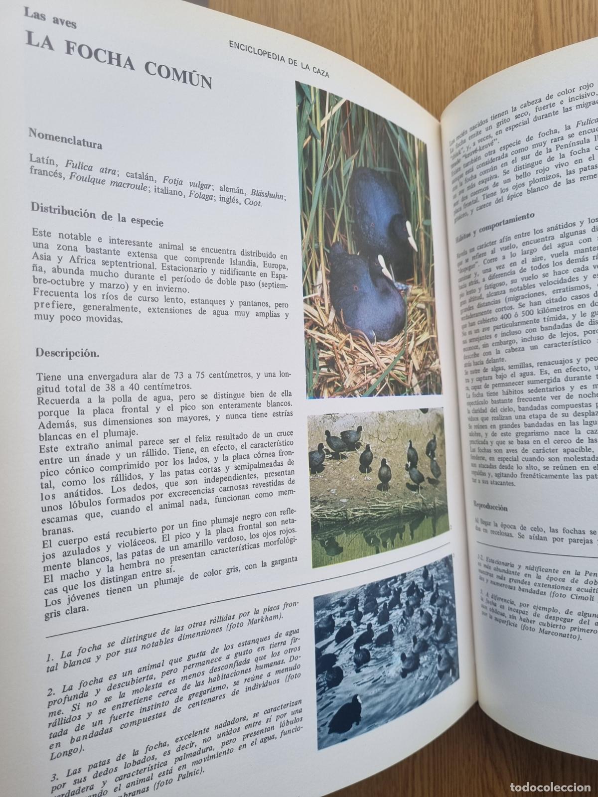 Libros de segunda mano: Enciclopedia de la caza - Editorial Vergara - 2 tomos - Foto 3