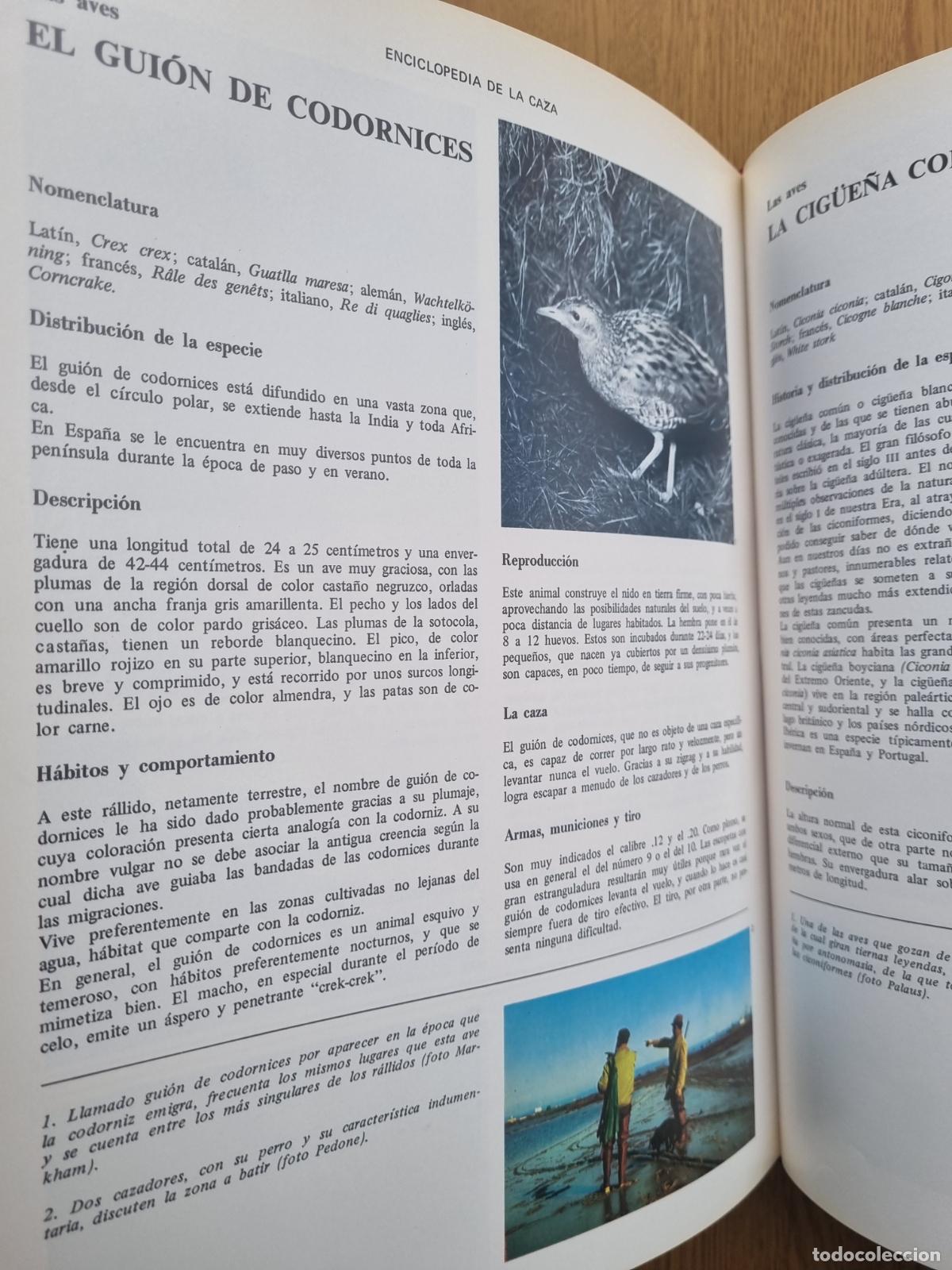 Libros de segunda mano: Enciclopedia de la caza - Editorial Vergara - 2 tomos - Foto 4
