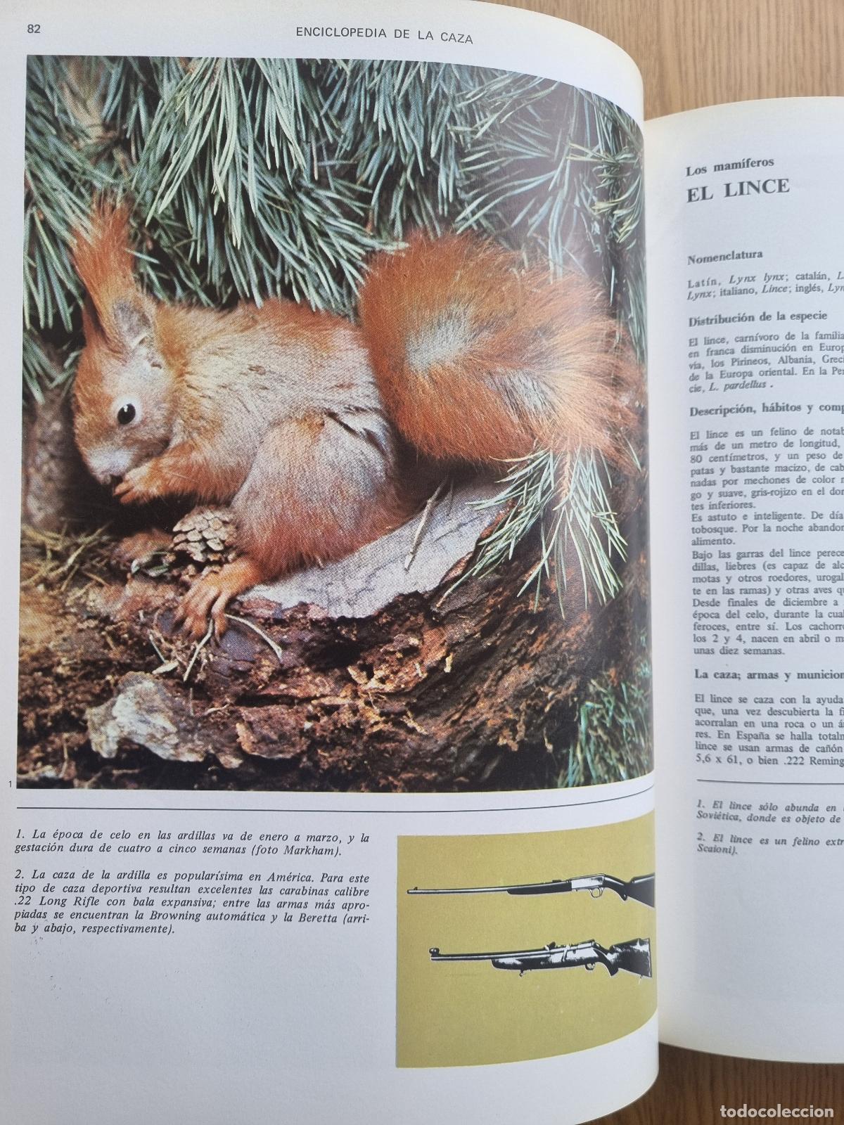 Libros de segunda mano: Enciclopedia de la caza - Editorial Vergara - 2 tomos - Foto 6