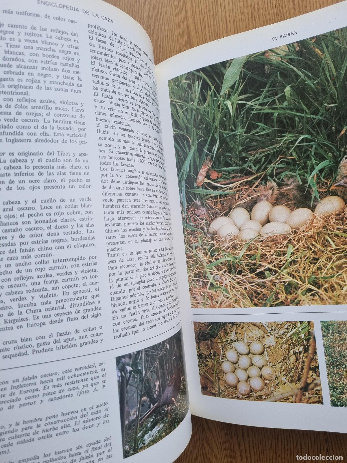 Libros de segunda mano: Enciclopedia de la caza - Editorial Vergara - 2 tomos - Foto 7