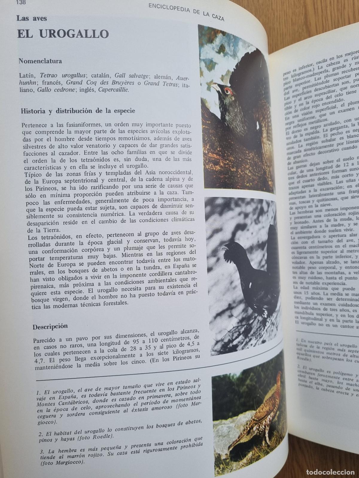 Libros de segunda mano: Enciclopedia de la caza - Editorial Vergara - 2 tomos - Foto 8