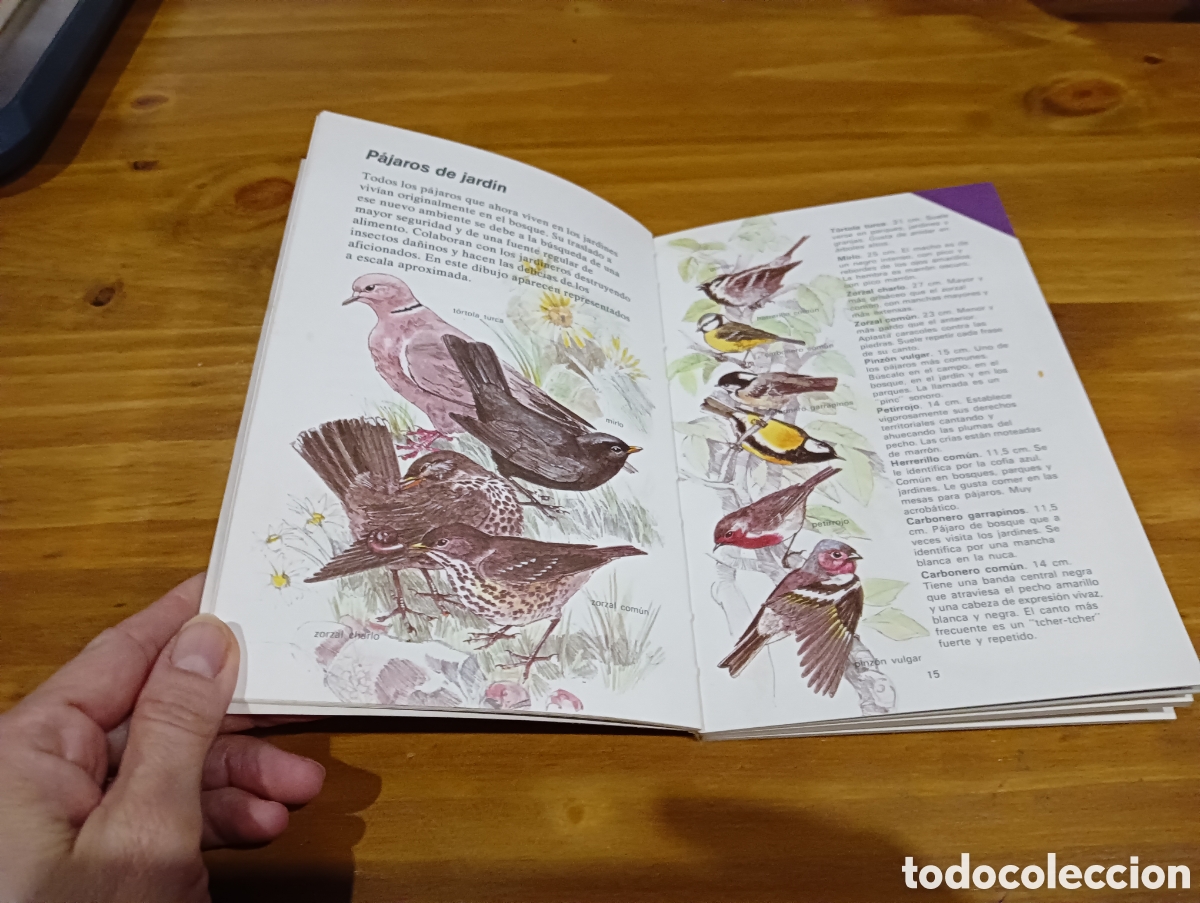 Libros de segunda mano: Manual del experto en Aves - Foto 3