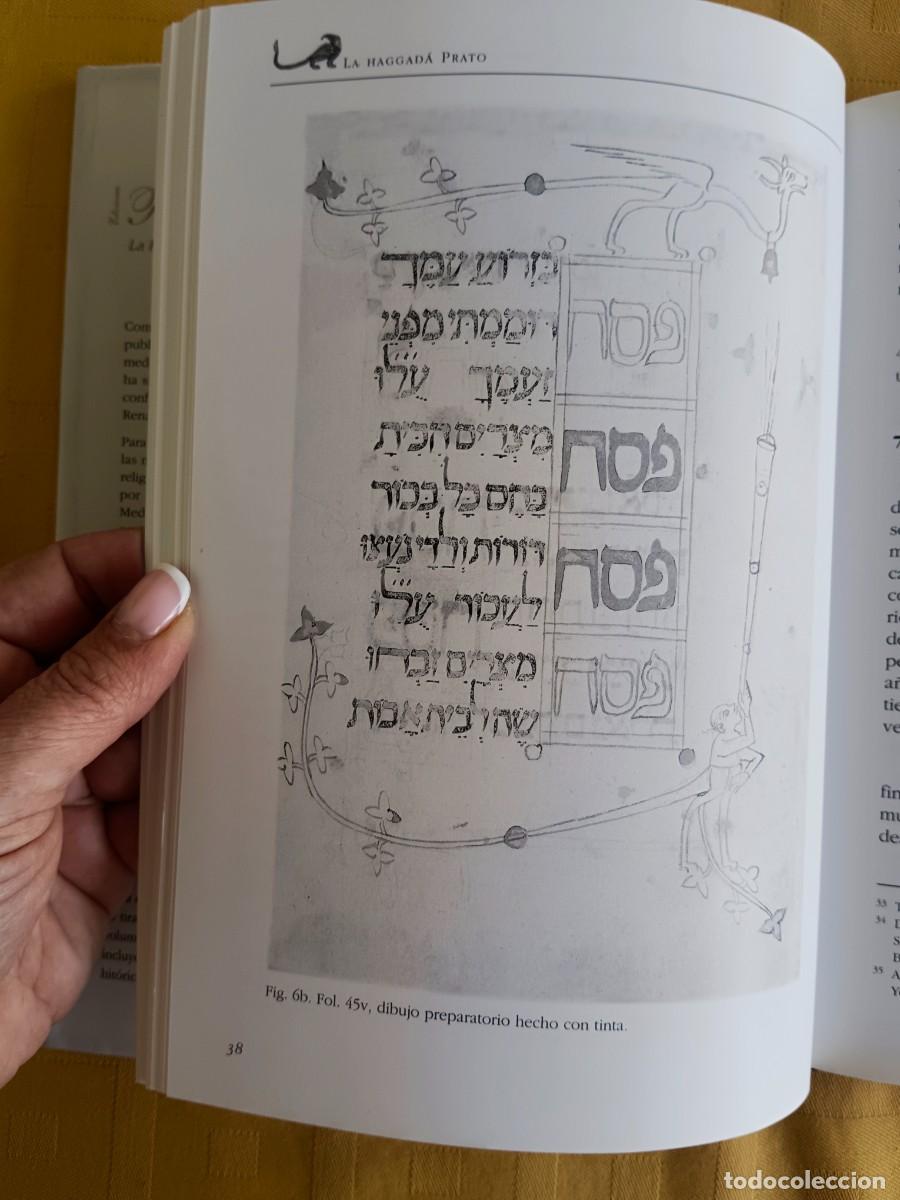Libros de segunda mano: LA HAGGADA PRATO - ESTUDIO INTRODUCTORIO - Foto 5