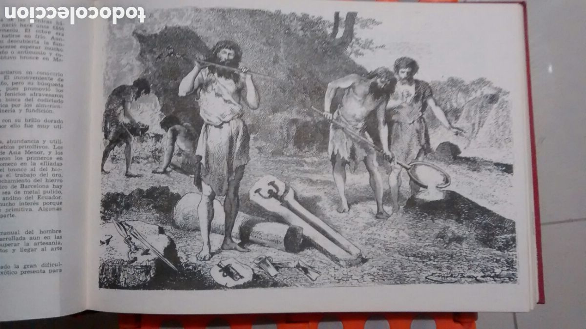 Libros de segunda mano: LAS RAZAS DEL MUNDO DE AUGUSTO PANYELLA (RODEGAR) - Foto 3