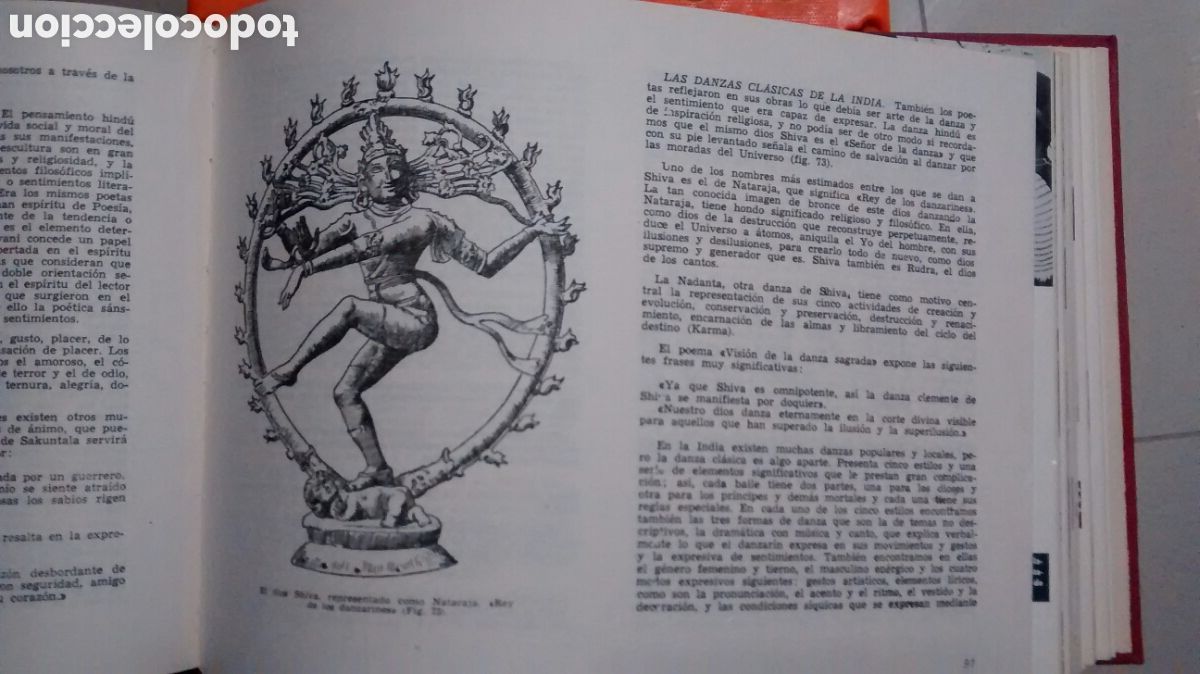 Libros de segunda mano: LAS RAZAS DEL MUNDO DE AUGUSTO PANYELLA (RODEGAR) - Foto 4