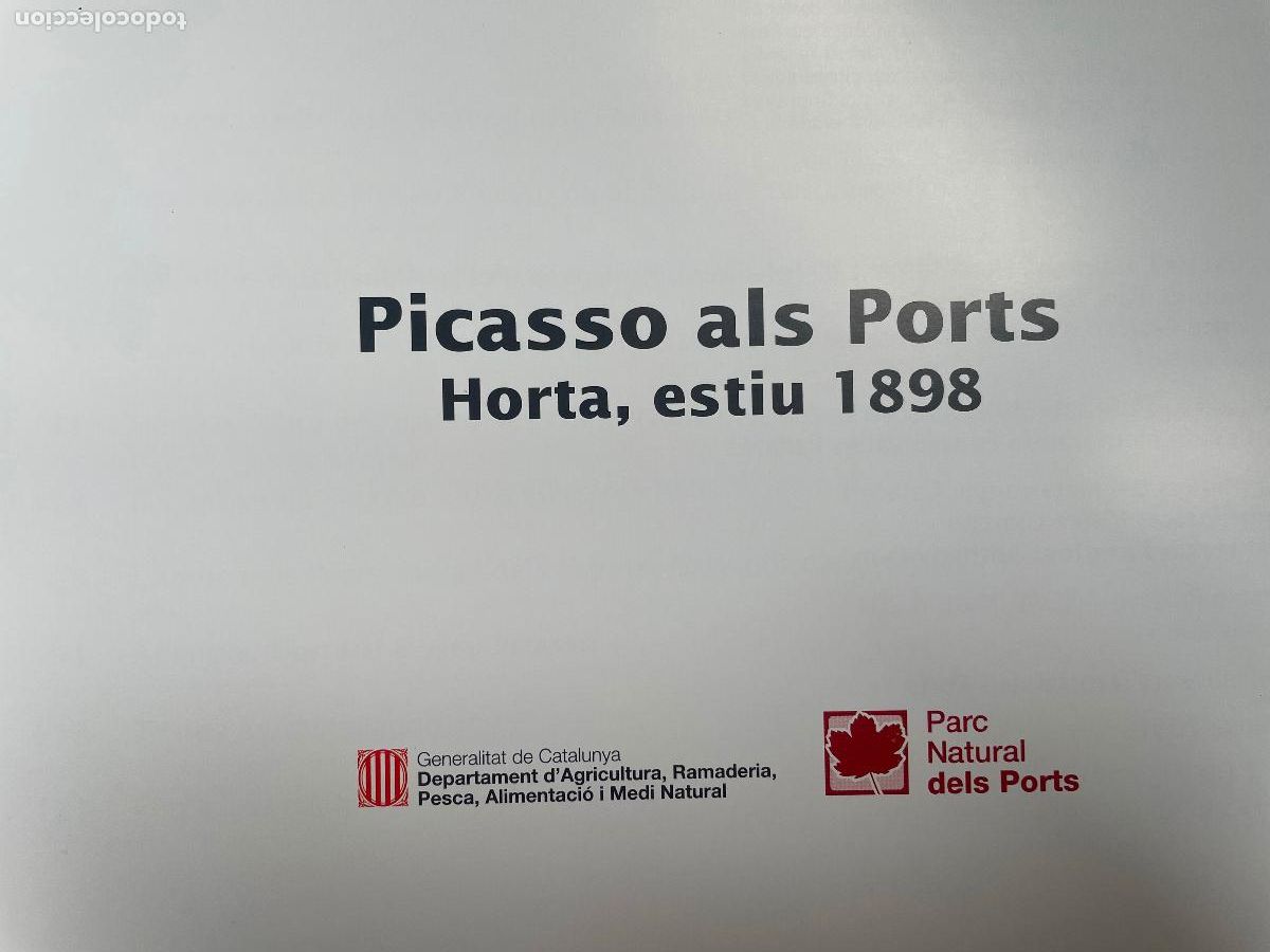 Libros de segunda mano: PICASSO ALS PORTS Horta Estiu 1898 - Foto 2
