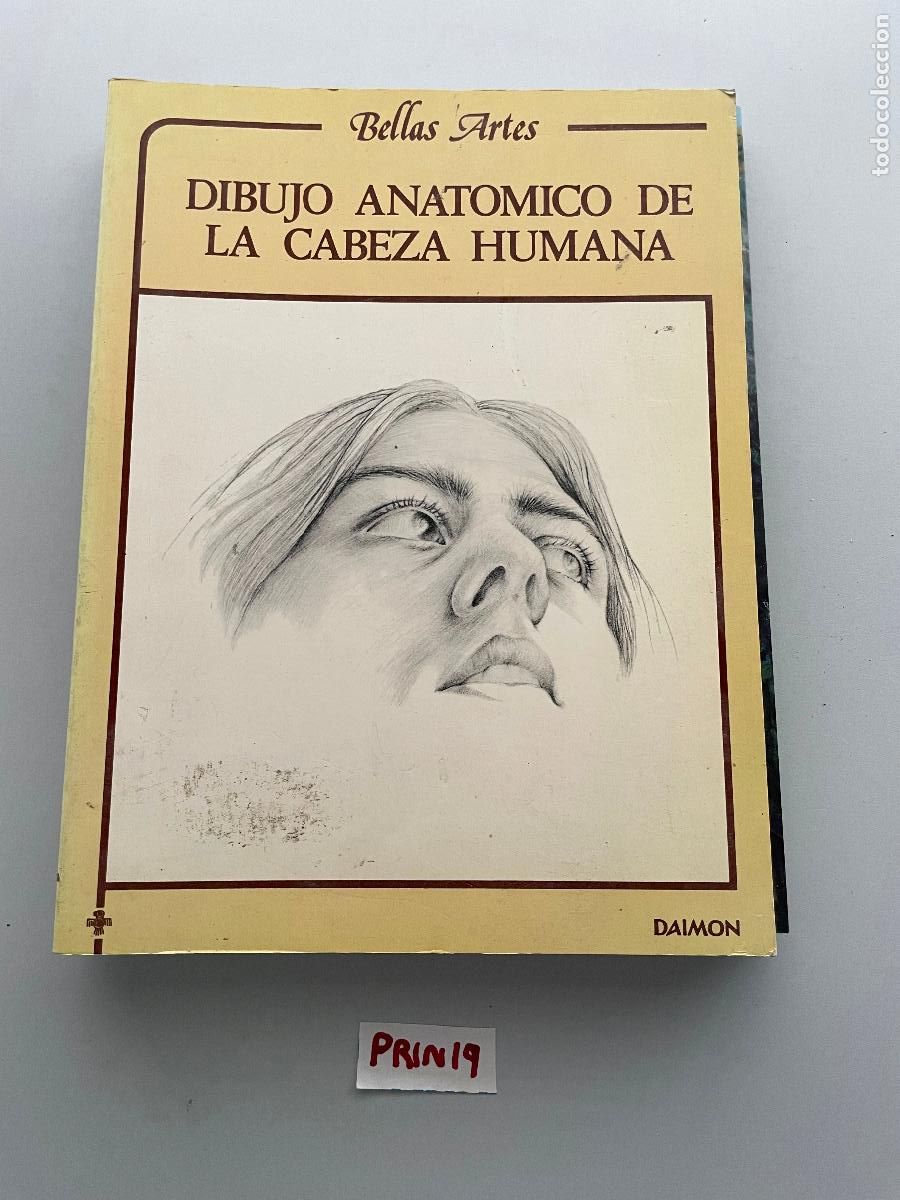 Libros de segunda mano: Dibujo anat&oacute;mico de la cabeza humana - Foto 1