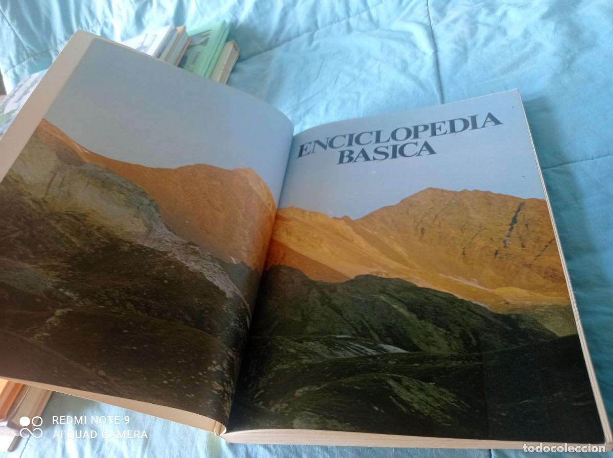 Libros de segunda mano: A&Ntilde;O INTERNACIONAL DEL NI&Ntilde;O / / GRAVOL 34 / JAIMES LIBROS / - Foto 5