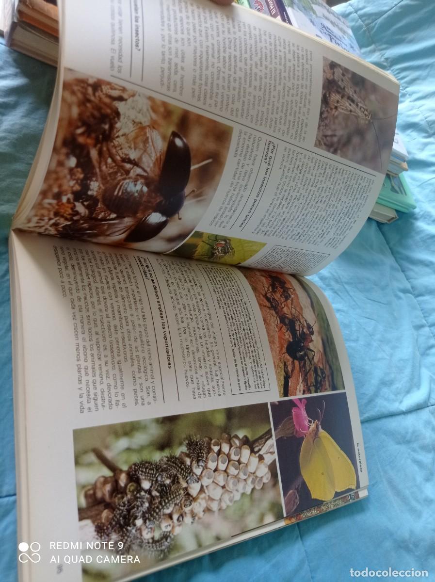 Libros de segunda mano: A&Ntilde;O INTERNACIONAL DEL NI&Ntilde;O / / GRAVOL 34 / JAIMES LIBROS / - Foto 15
