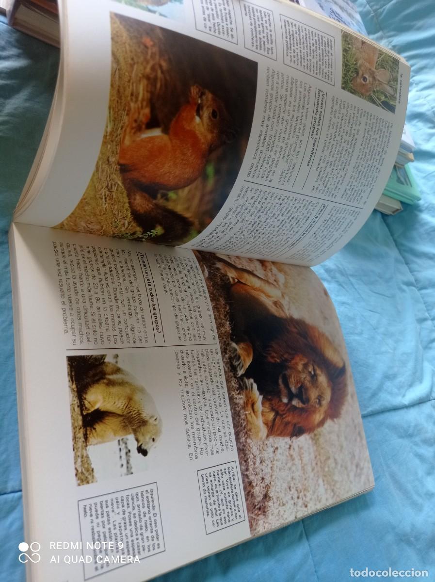 Libros de segunda mano: A&Ntilde;O INTERNACIONAL DEL NI&Ntilde;O / / GRAVOL 34 / JAIMES LIBROS / - Foto 18