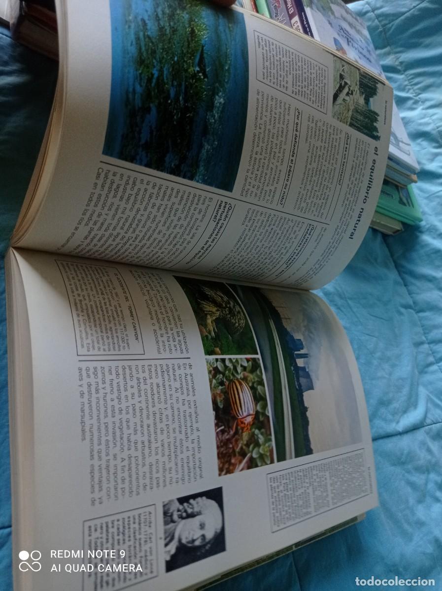 Libros de segunda mano: A&Ntilde;O INTERNACIONAL DEL NI&Ntilde;O / / GRAVOL 34 / JAIMES LIBROS / - Foto 21