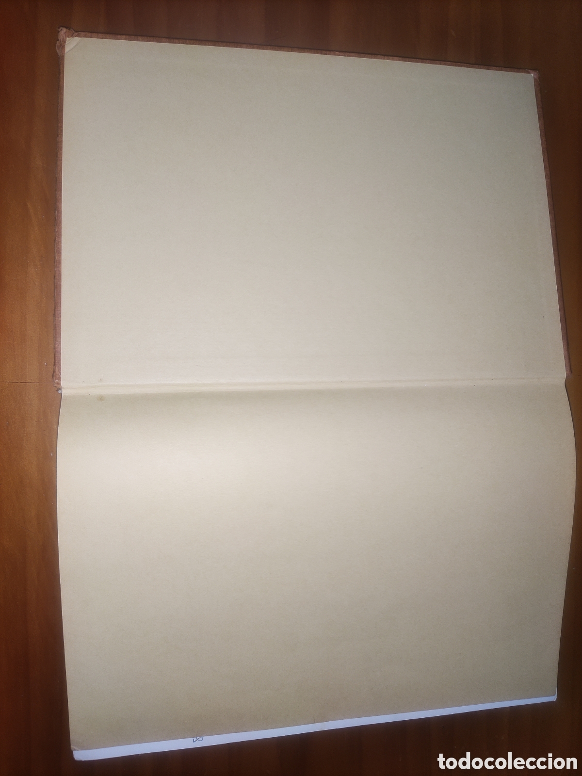 Libros de segunda mano: Las Razas Caninas del Mundo. - Foto 3
