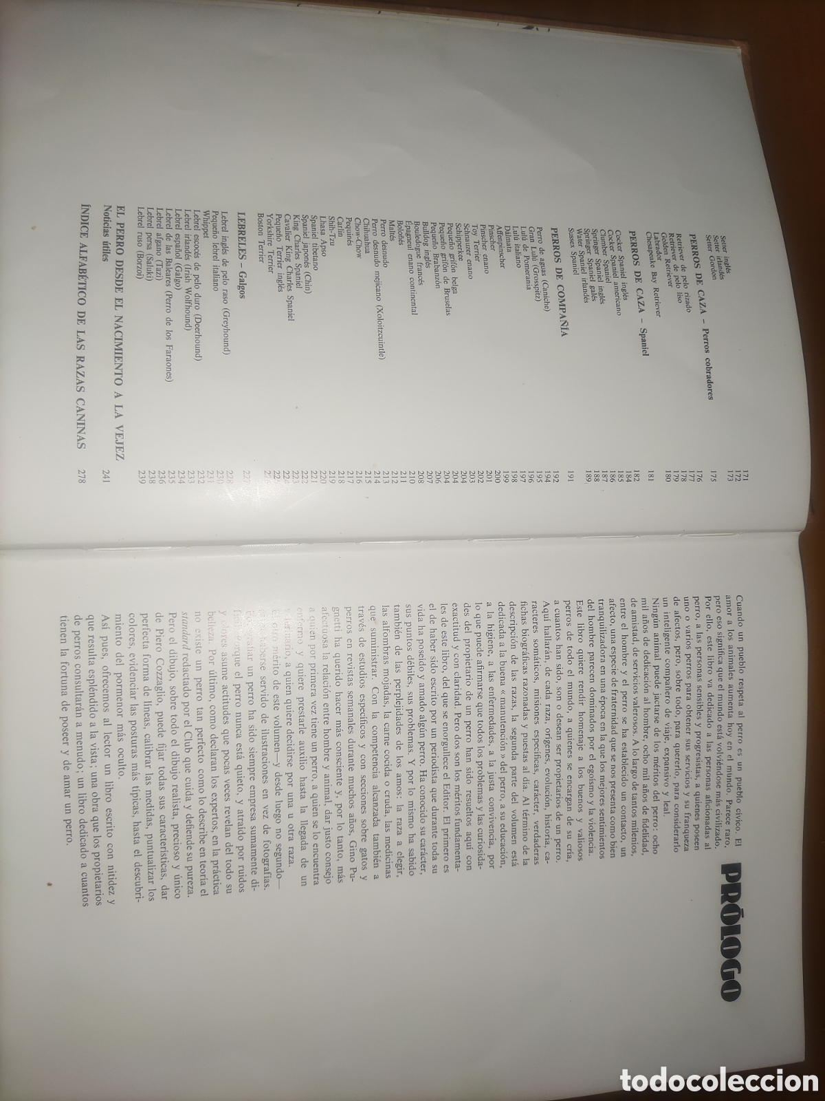 Libros de segunda mano: Las Razas Caninas del Mundo. - Foto 6