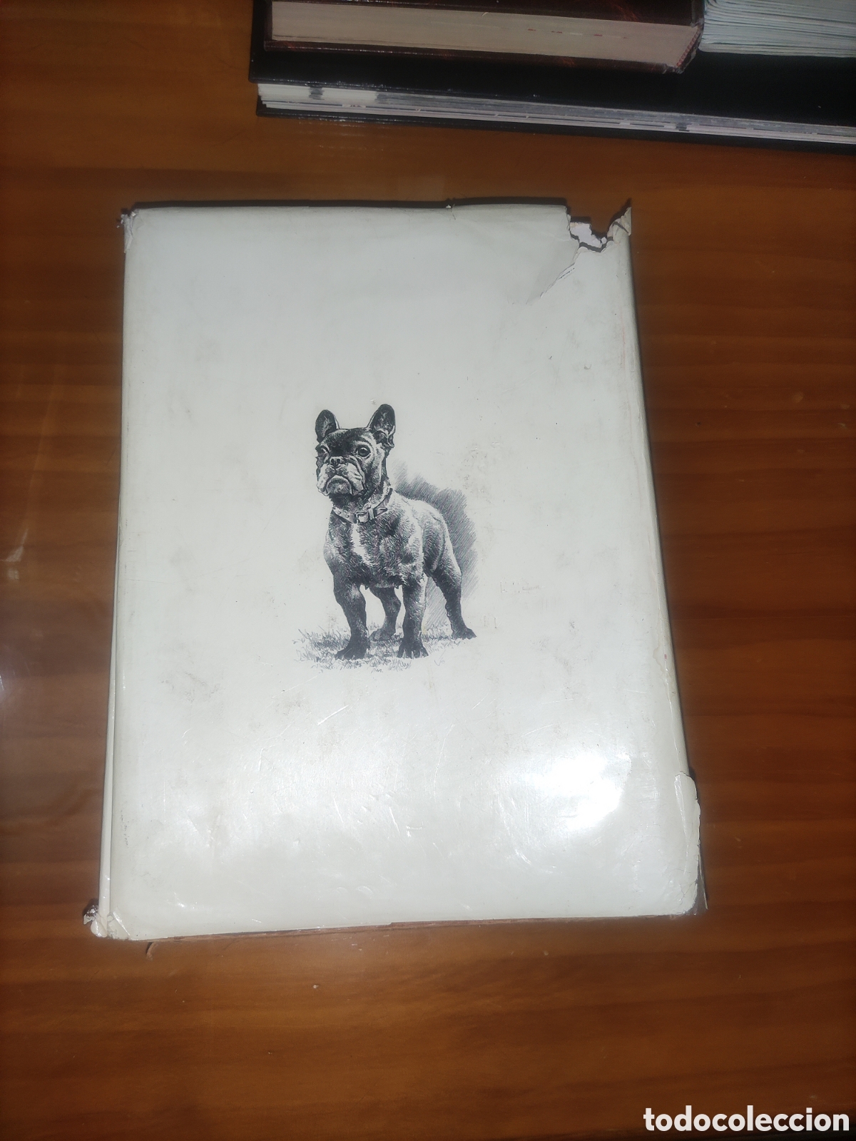 Libros de segunda mano: Las Razas Caninas del Mundo. - Foto 13