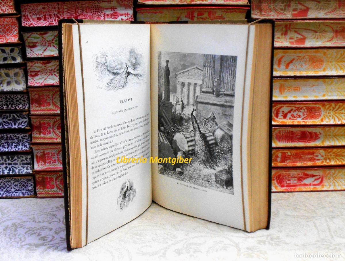 Libros de segunda mano: FABULAS . Autor : La Fontaine - Foto 6