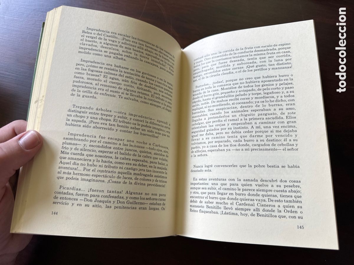 Libros de segunda mano: PALENCIA PREGONADA &ndash; FELIPE CALVO - Foto 4