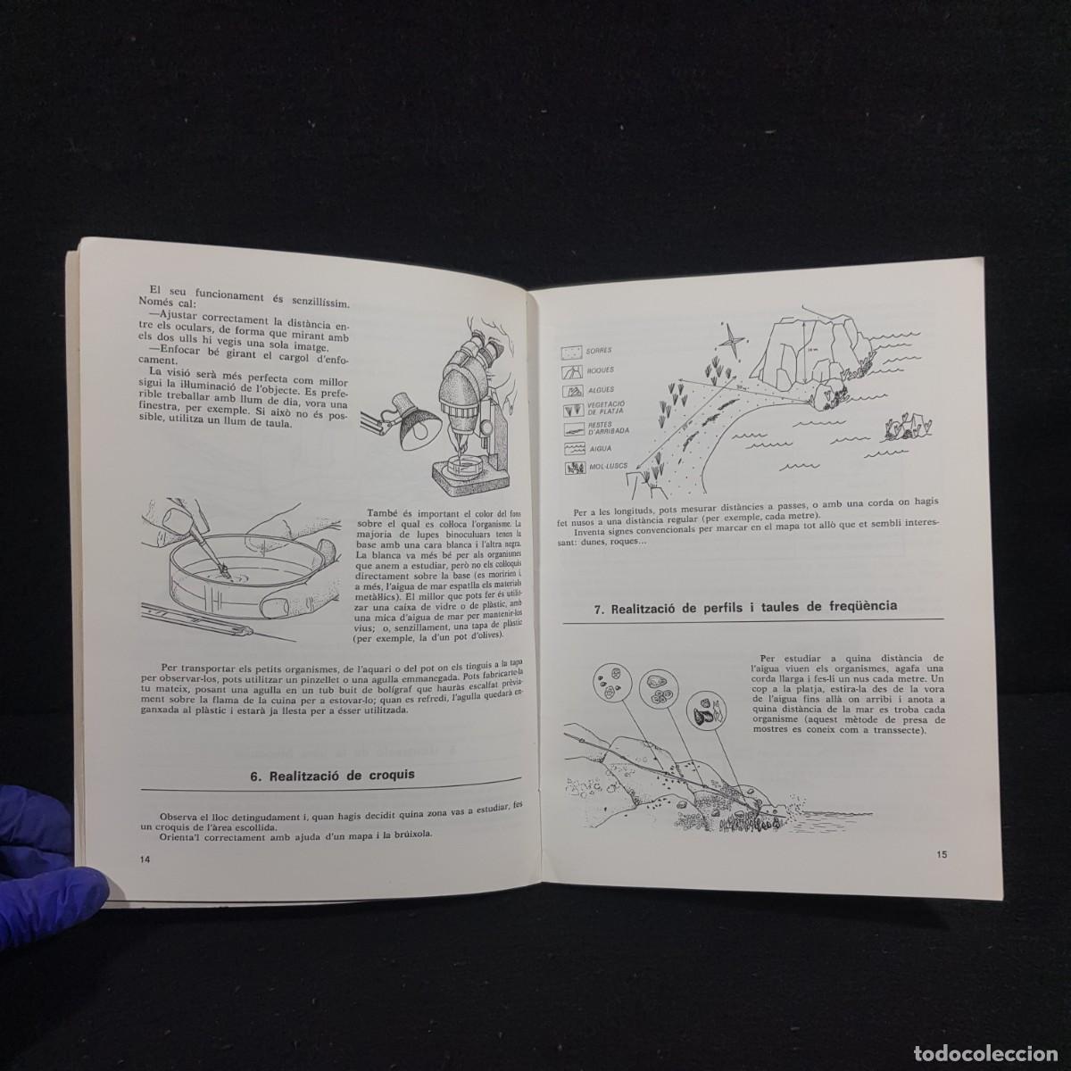 Libros de segunda mano: LA RECERCA A LA VORA DE LA MAR - TEIDE / 347 - Foto 5