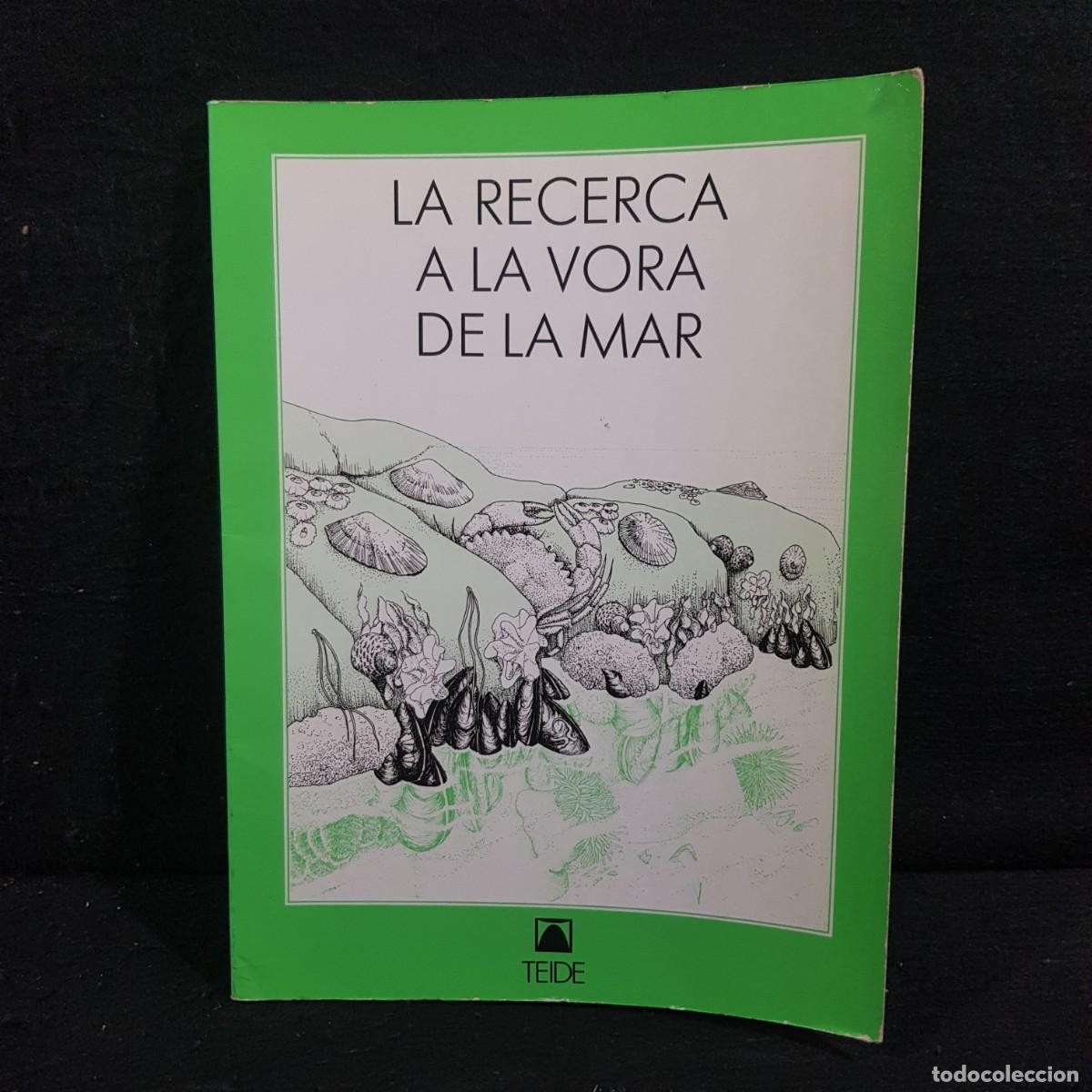 Libros de segunda mano: LA RECERCA A LA VORA DE LA MAR - TEIDE / 347 - Foto 1