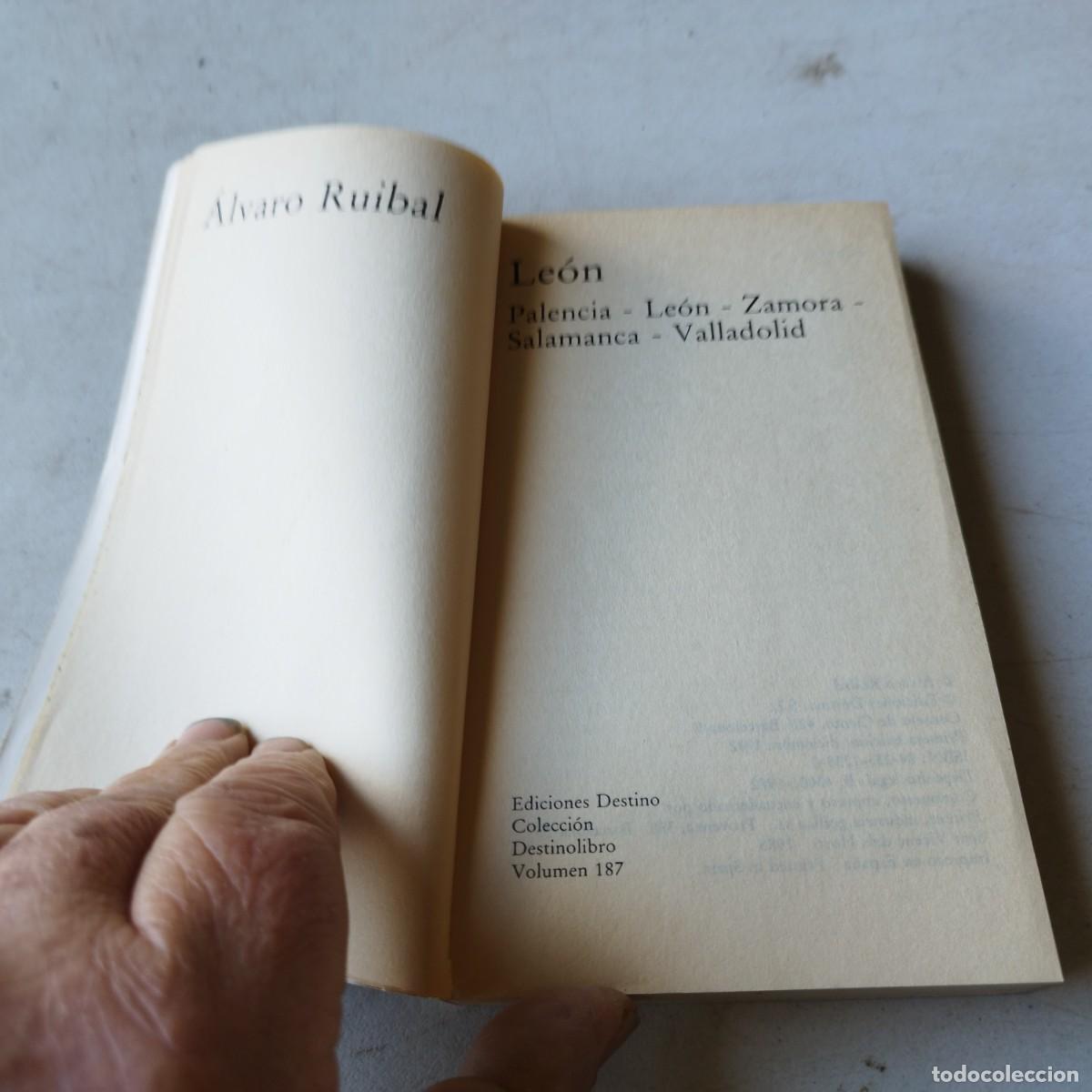 Libros de segunda mano: LEON / ALVARO RUIBAL / GRAVOL 54 / DESTINOLIBRO - Foto 7