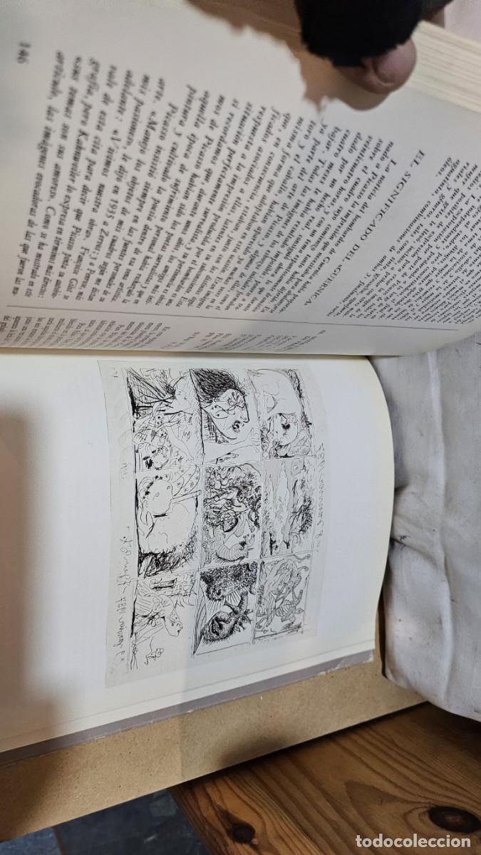 Libros de segunda mano: libro del gernica picasso - Foto 5