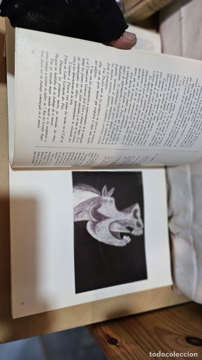 Libros de segunda mano: libro del gernica picasso - Foto 14