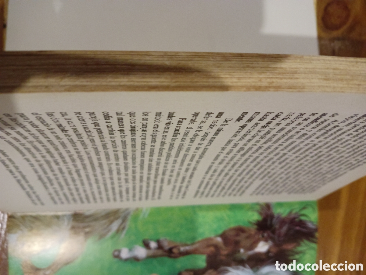 Libros de segunda mano: Los viajes de Gulliver. - Foto 5