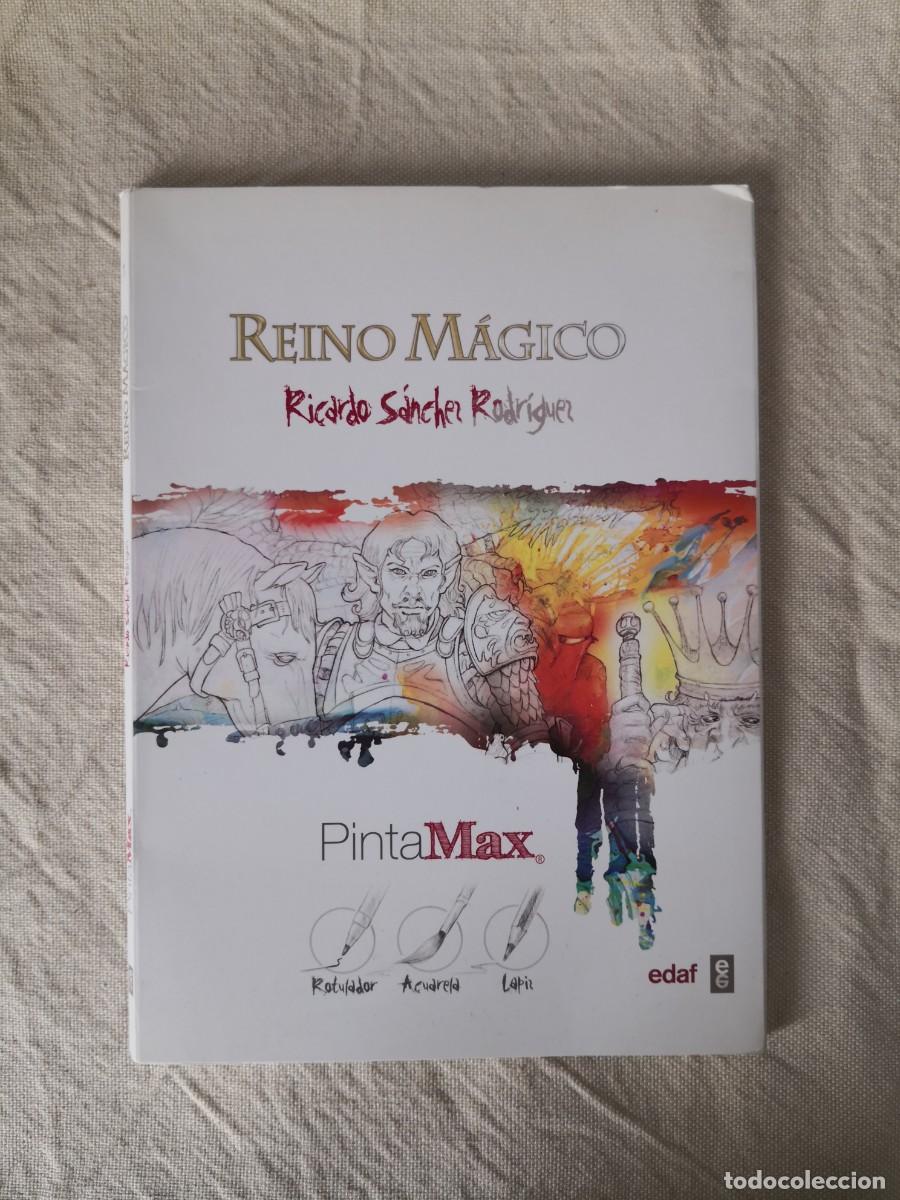 Libros de segunda mano: REINO M&Aacute;GICO PINTAMAX EDAF - Foto 1