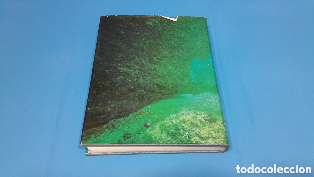 Libros de segunda mano: HISTORIA DEL BUCEO - JUAN IVARS - TOM&Aacute;S RODR&Iacute;GUEZ - Foto 2