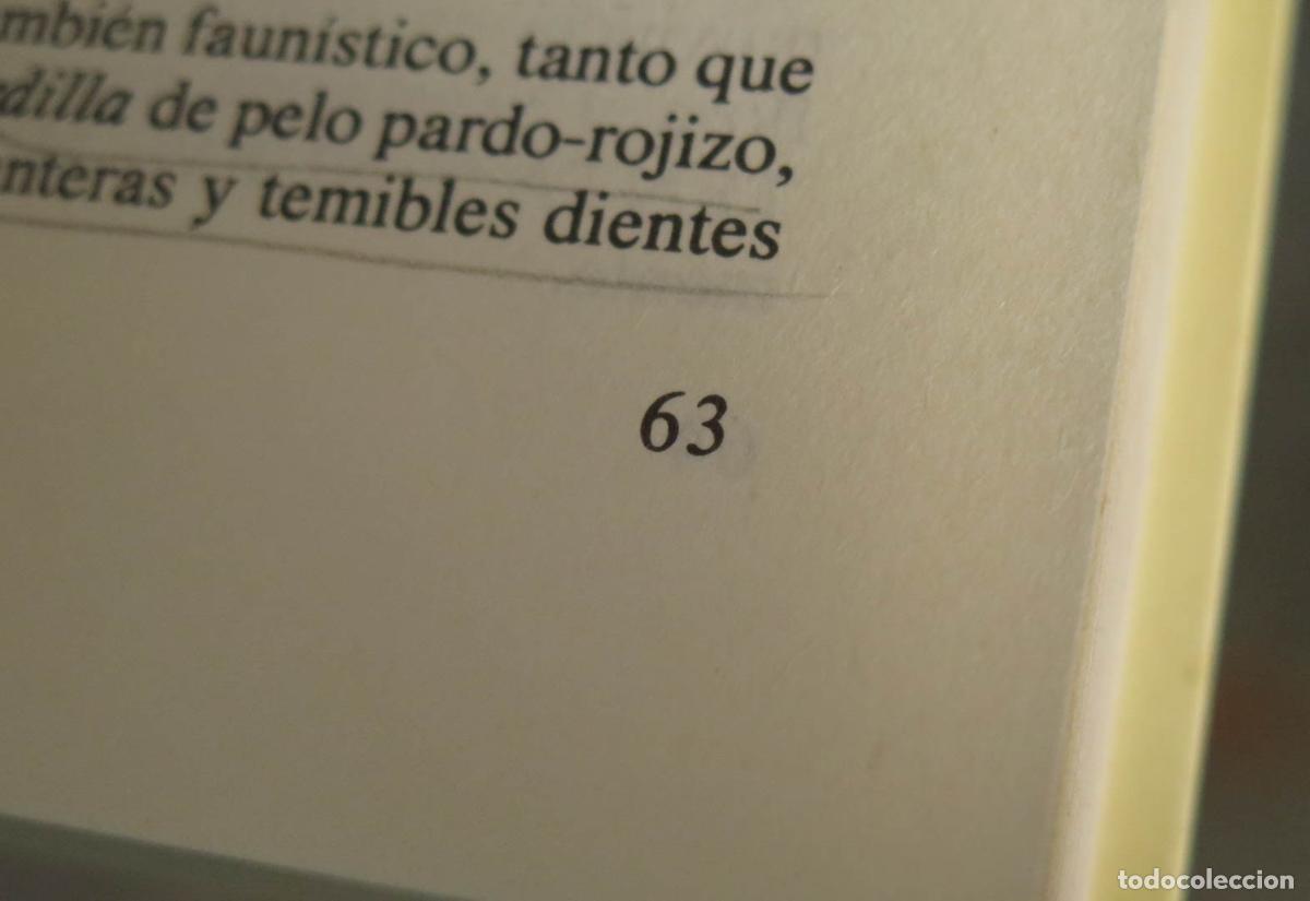 Libros de segunda mano: Madrid y su comunidad Jim&eacute;nez de Gregorio - Foto 2
