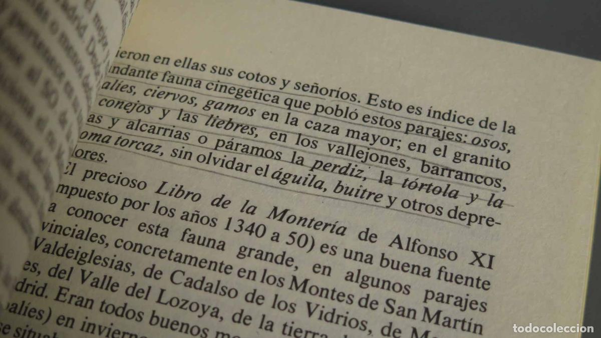 Libros de segunda mano: Madrid y su comunidad Jim&eacute;nez de Gregorio - Foto 3