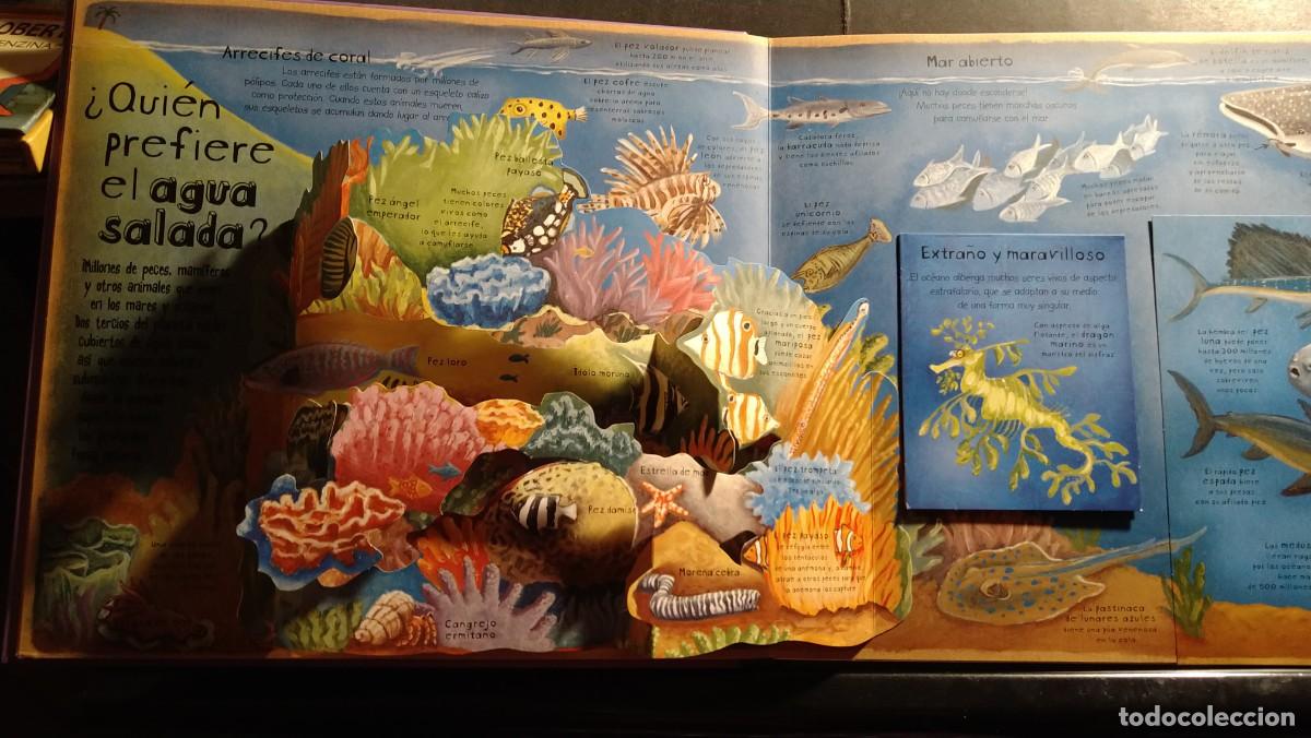 Libros de segunda mano: C&Oacute;MO VIVEN LOS ANIMALES - LIBRO DESPLEGABLE, POP-UP - Foto 3