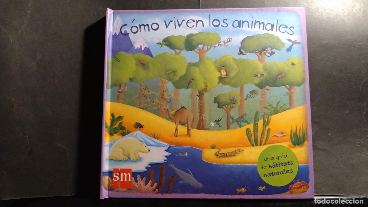Libros de segunda mano: C&Oacute;MO VIVEN LOS ANIMALES - LIBRO DESPLEGABLE, POP-UP - Foto 1