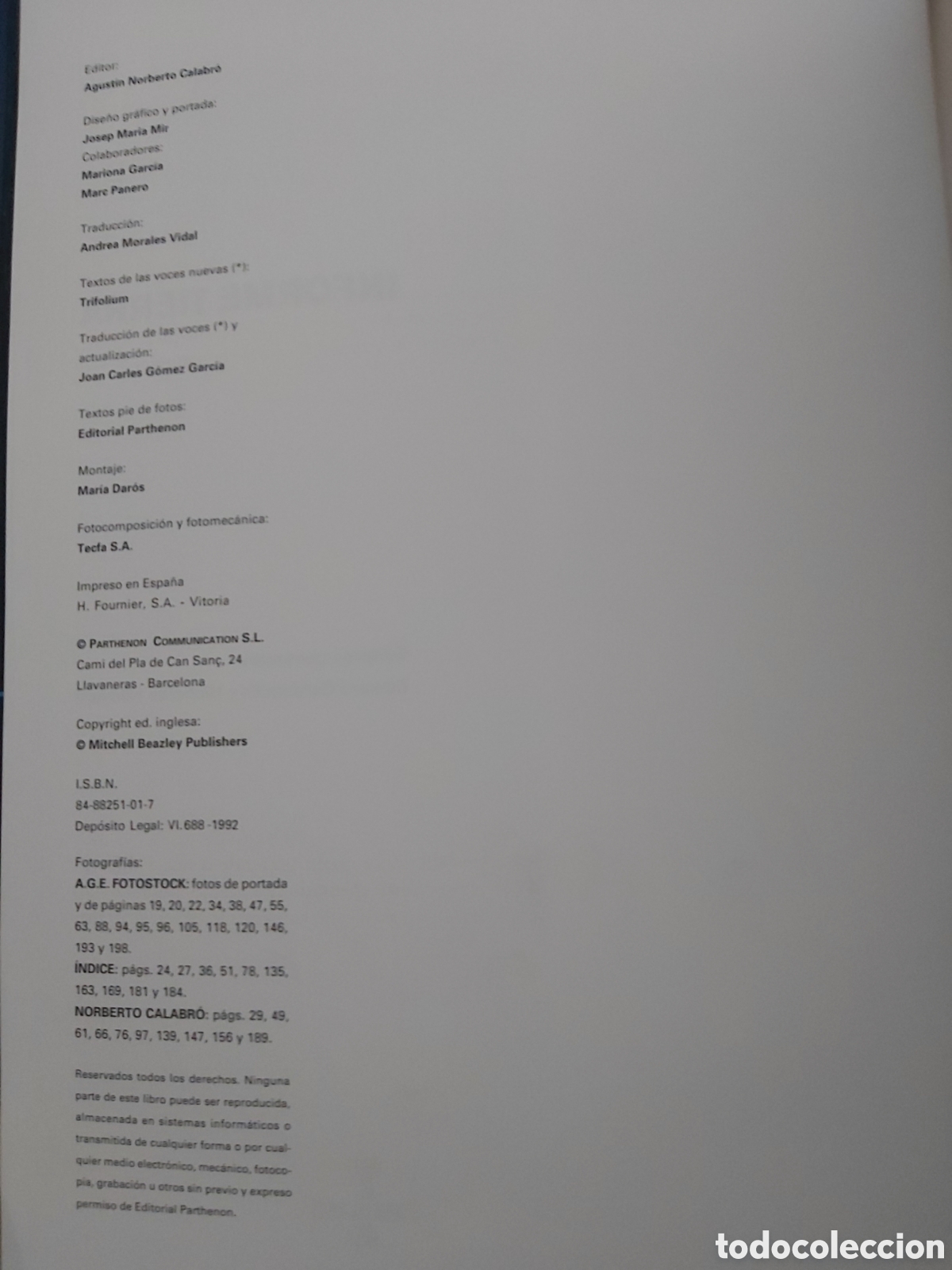 Libros de segunda mano: INFORME TIERRA E. GOLDSMITH & N. HILDYARD PARTHENON 1992 - Foto 4