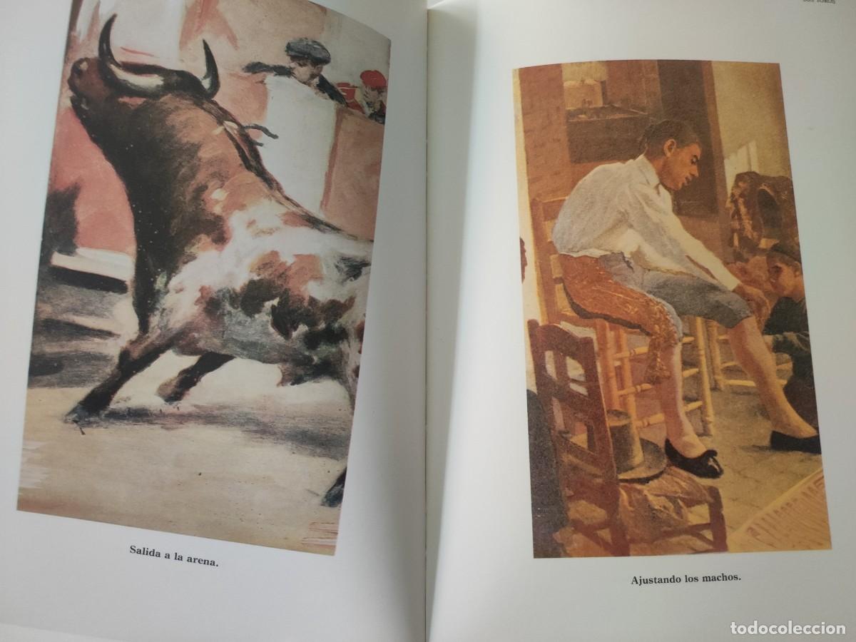 Libros de segunda mano: Los Toros. Perea ediciones ilustrativas. - Foto 4