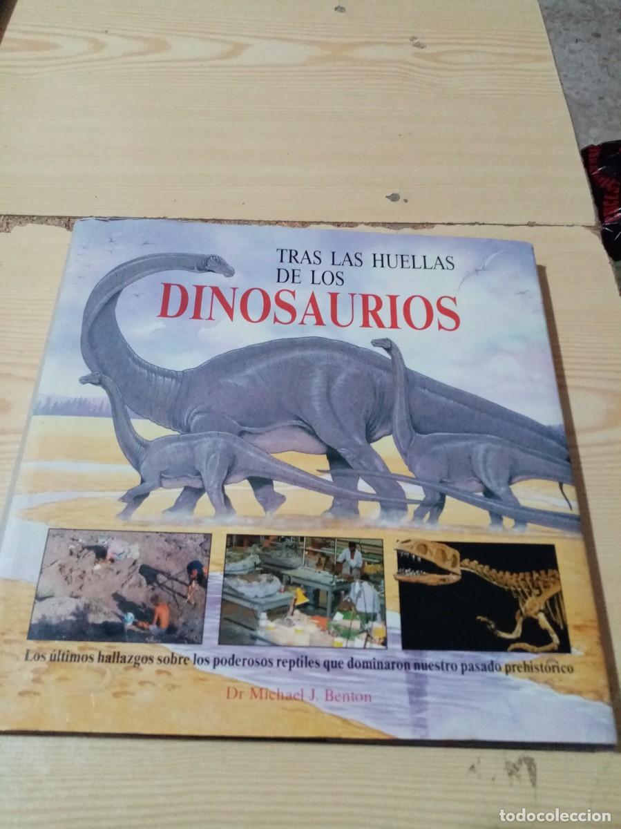 Libros de segunda mano: TRAS LA HUELLAS DE LOS DINOSAURIOS. DR. MICHAEL J. BENTON. C33L - Foto 1