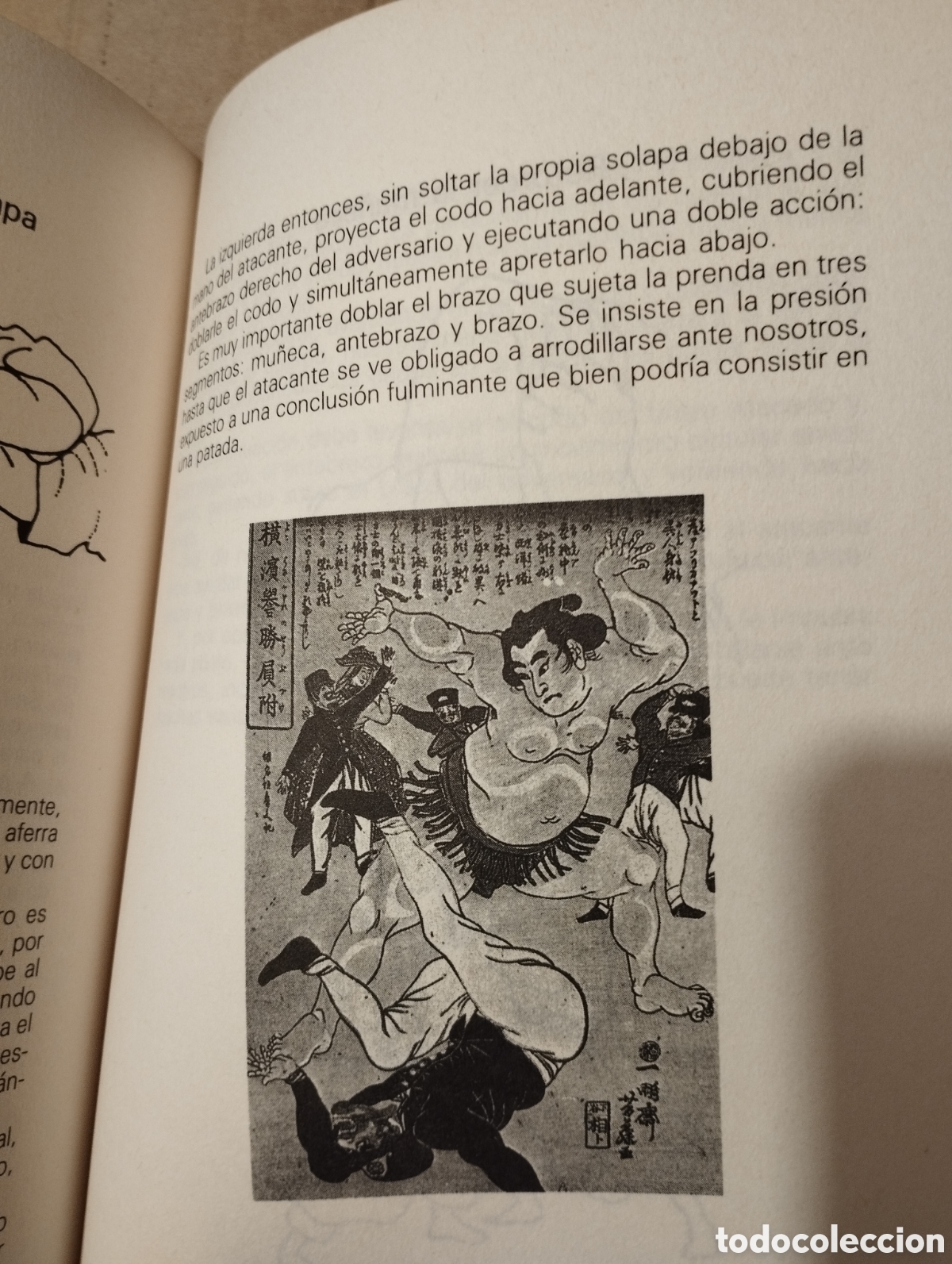 Libros de segunda mano: MANUAL PR&Aacute;CTICO DE KUNG FU (EDITORIAL DE VECCHI) - Foto 6