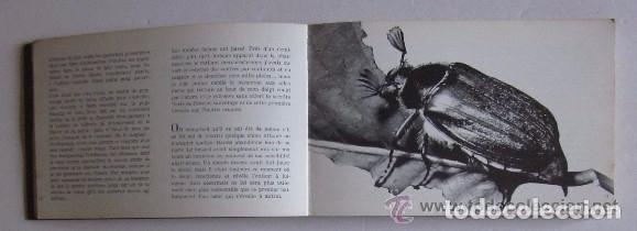 Libros de segunda mano: AMIS DES BETES - DR. F. MERY - Foto 4