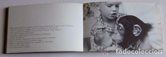 Libros de segunda mano: AMIS DES BETES - DR. F. MERY - Foto 5