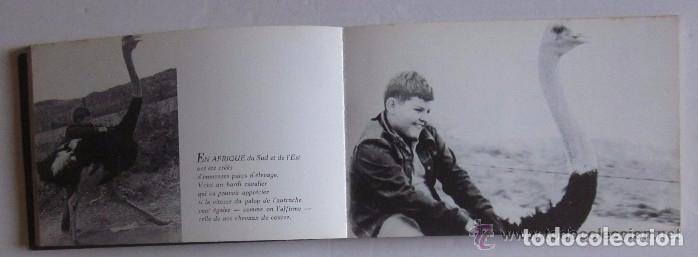 Libros de segunda mano: AMIS DES BETES - DR. F. MERY - Foto 6