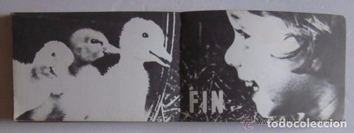 Libros de segunda mano: AMIS DES BETES - DR. F. MERY - Foto 7