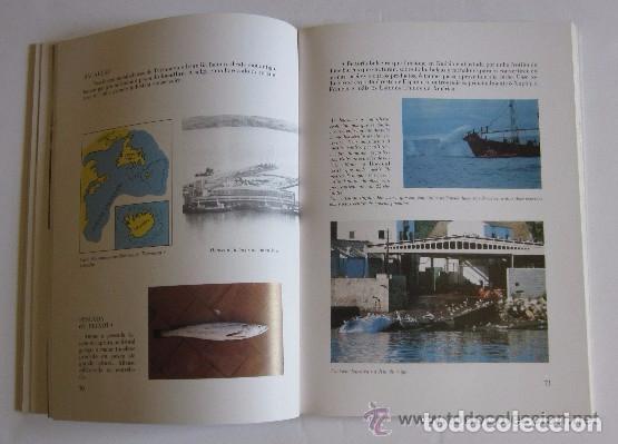 Libros de segunda mano: A PESCA EN GALICIA - ED. ESCOLA ABERTA - Foto 4