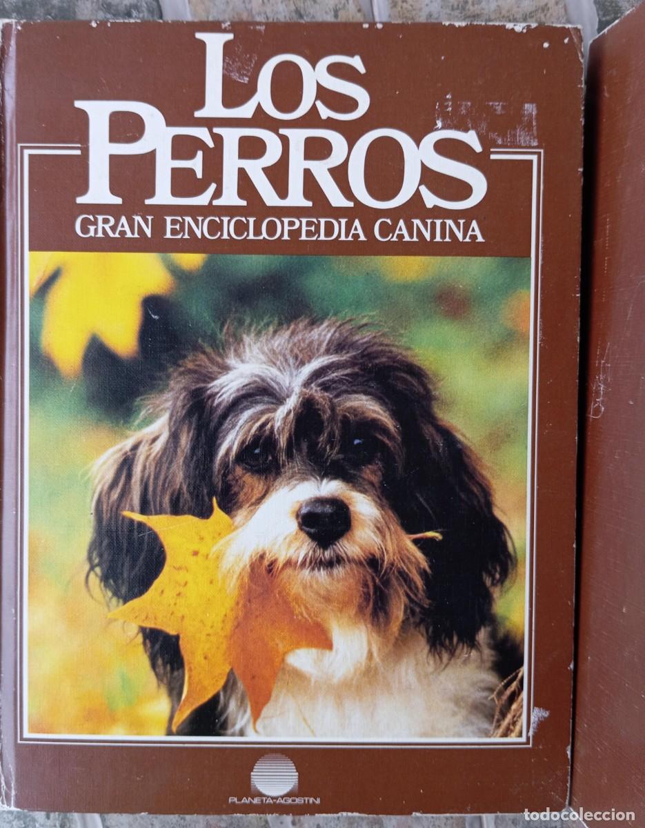 Libros de segunda mano: LOS PERROS - GRAN ENCICLOPEDIA CANINA - 1985 - Foto 1