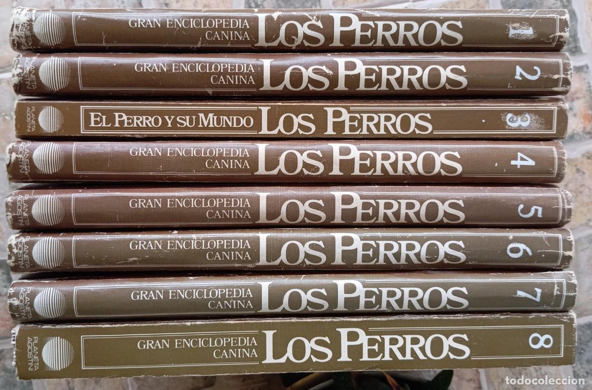 Libros de segunda mano: LOS PERROS - GRAN ENCICLOPEDIA CANINA - 1985 - Foto 2