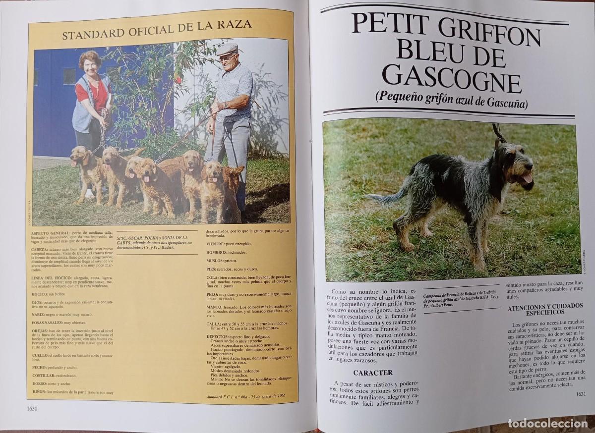 Libros de segunda mano: LOS PERROS - GRAN ENCICLOPEDIA CANINA - 1985 - Foto 3