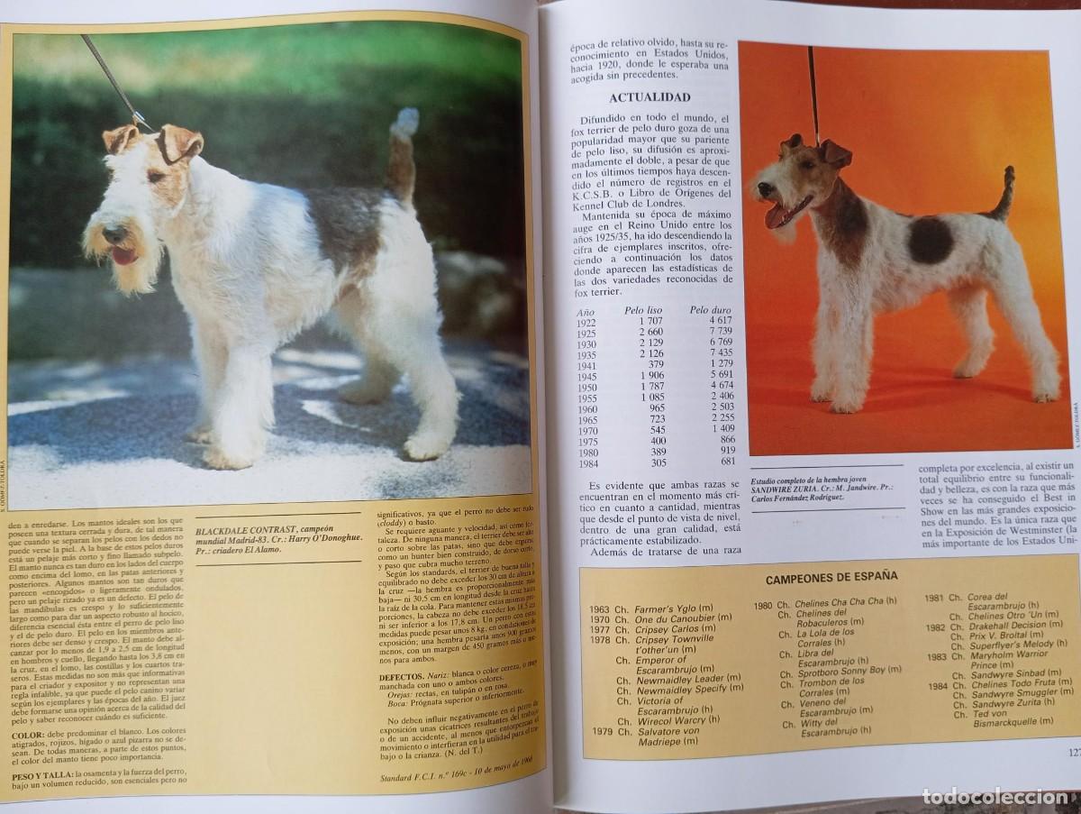 Libros de segunda mano: LOS PERROS - GRAN ENCICLOPEDIA CANINA - 1985 - Foto 4