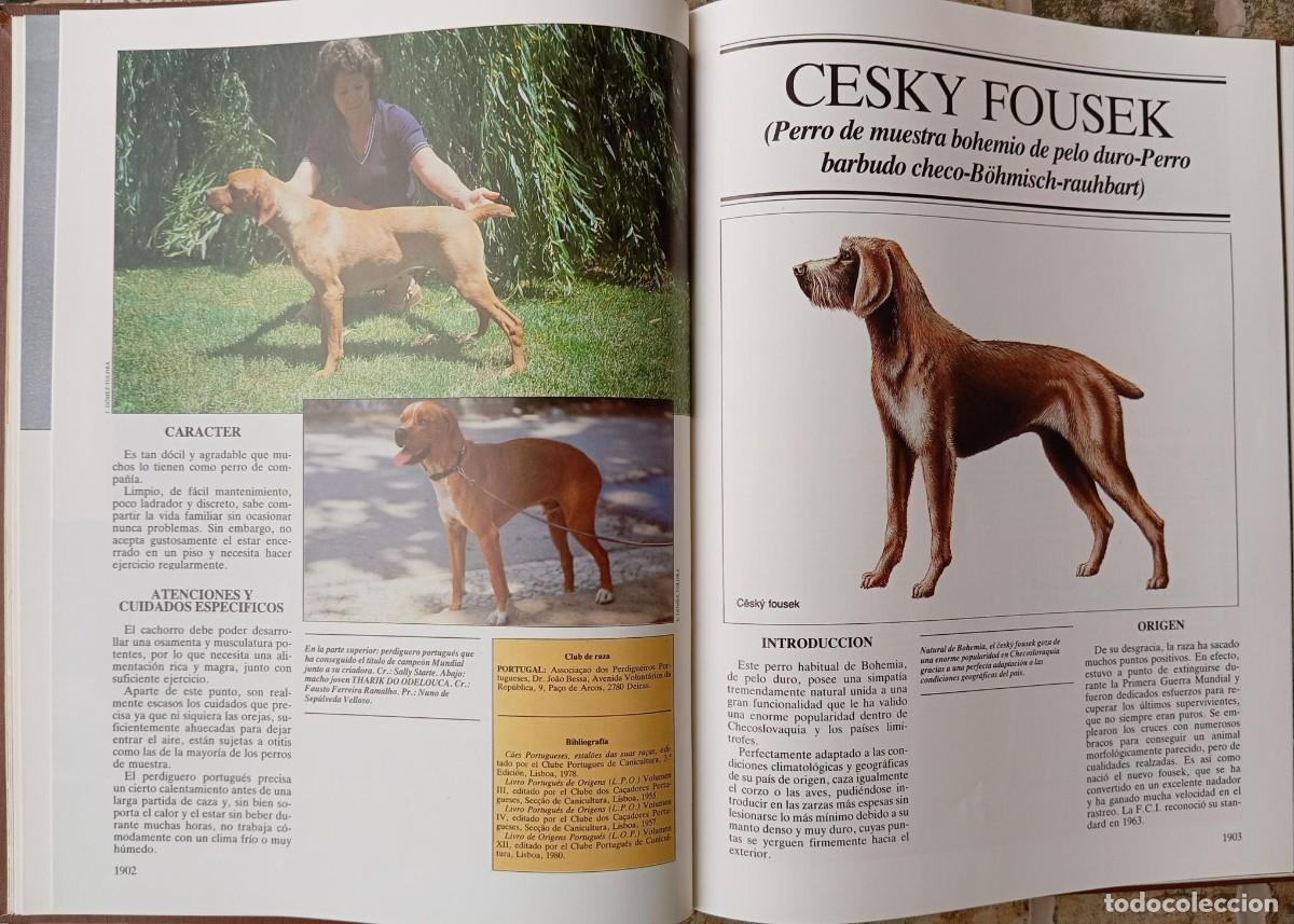 Libros de segunda mano: LOS PERROS - GRAN ENCICLOPEDIA CANINA - 1985 - Foto 5