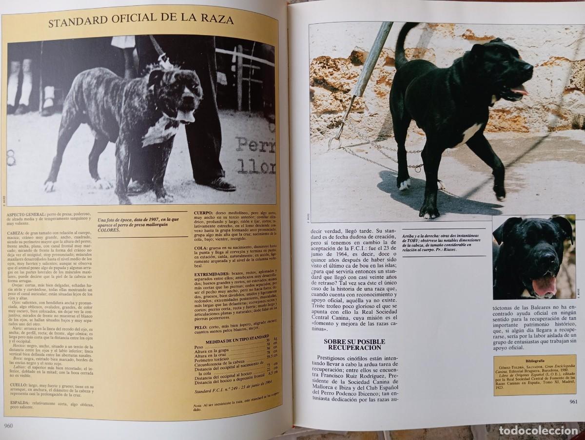 Libros de segunda mano: LOS PERROS - GRAN ENCICLOPEDIA CANINA - 1985 - Foto 6
