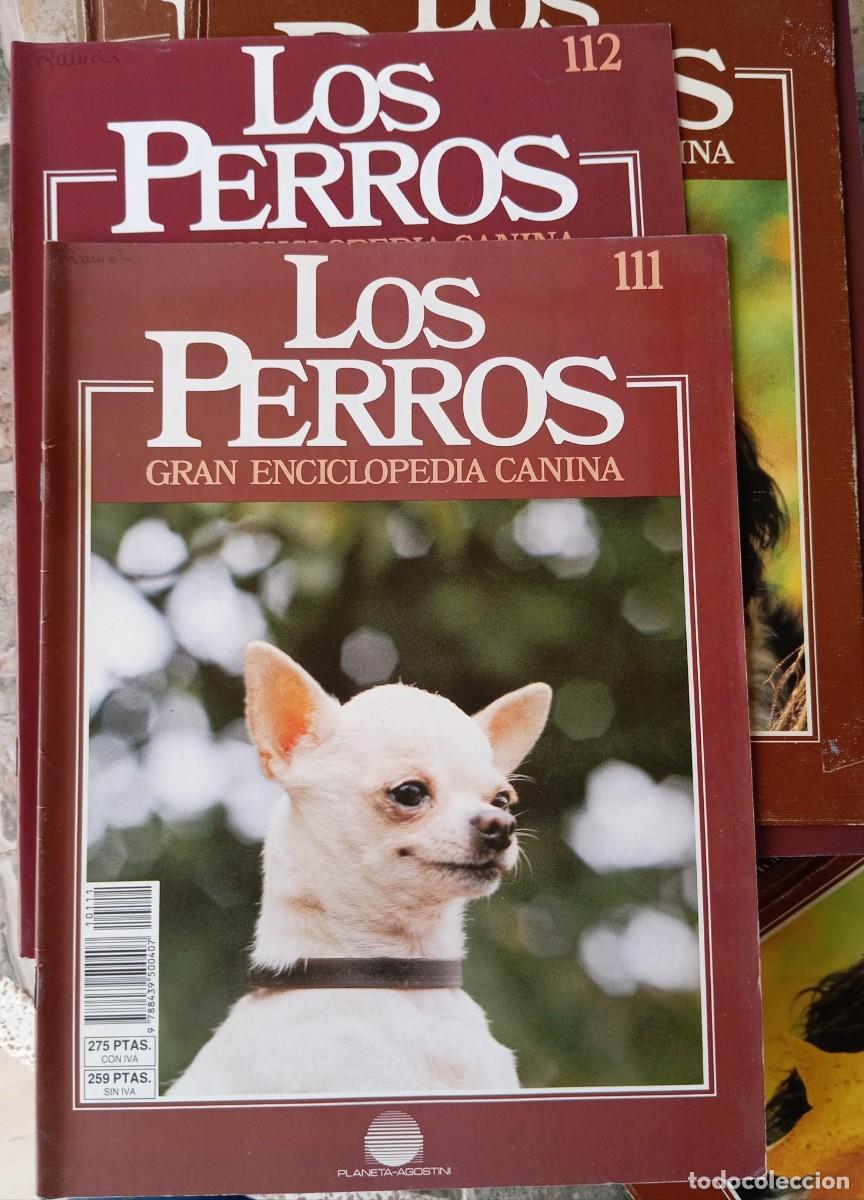 Libros de segunda mano: LOS PERROS - GRAN ENCICLOPEDIA CANINA - 1985 - Foto 7