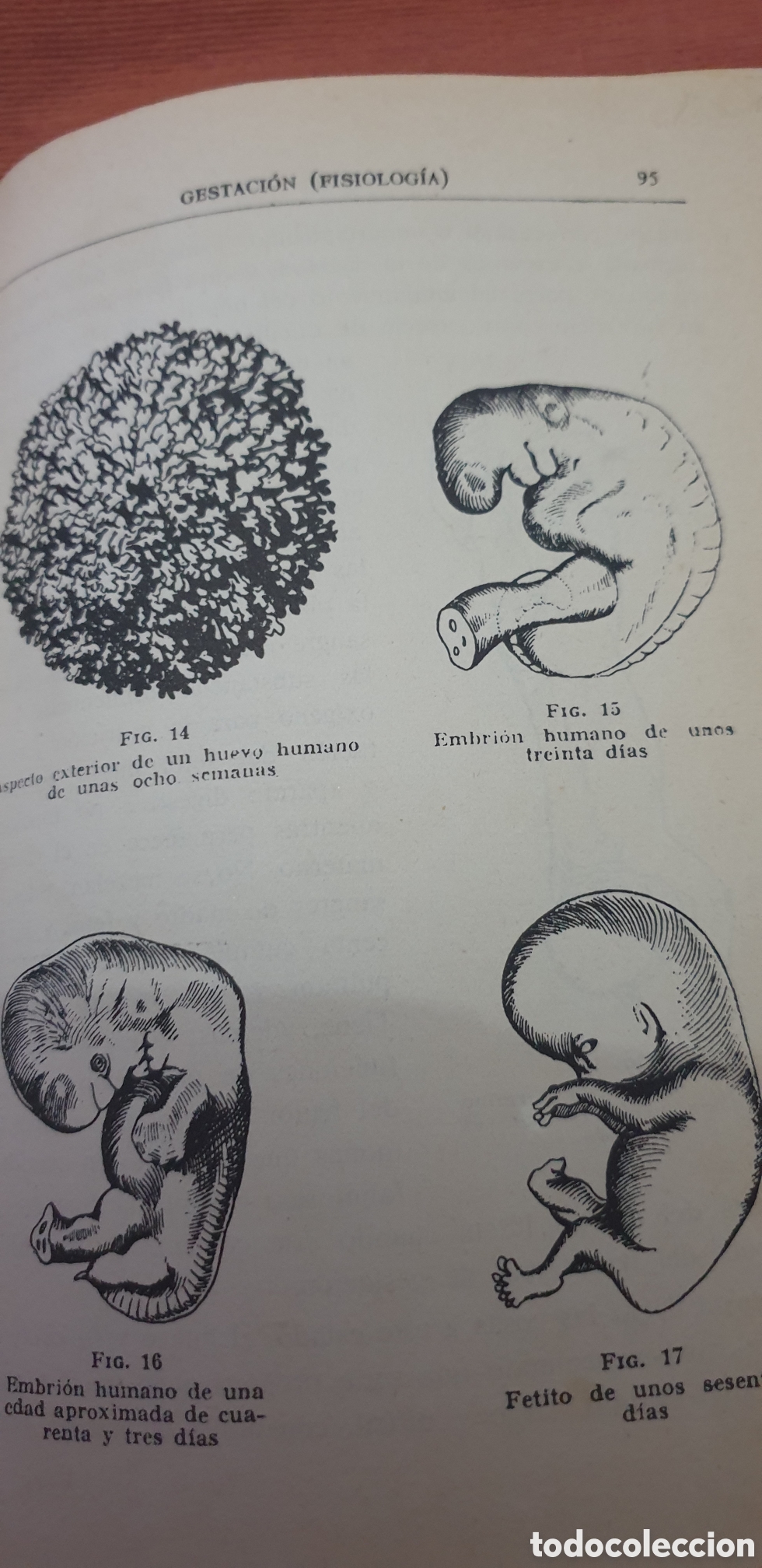Libros de segunda mano: Antes de que te cases, 1961.Dr.Clavero N&uacute;&ntilde;ez - Foto 5
